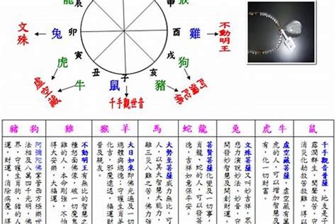 2003五行属什么|2003年3月出生是什么命运？是什么月？